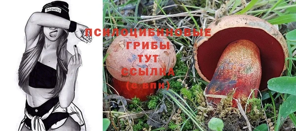 амф Белоозёрский