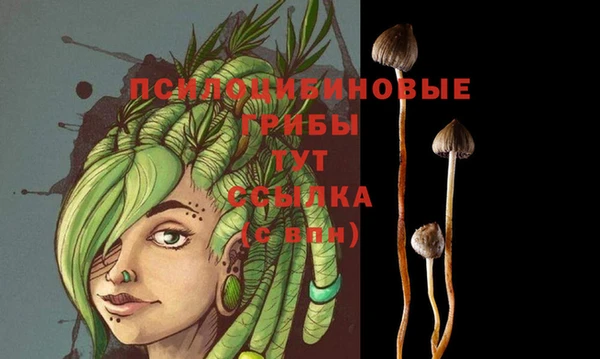 круглые Богданович